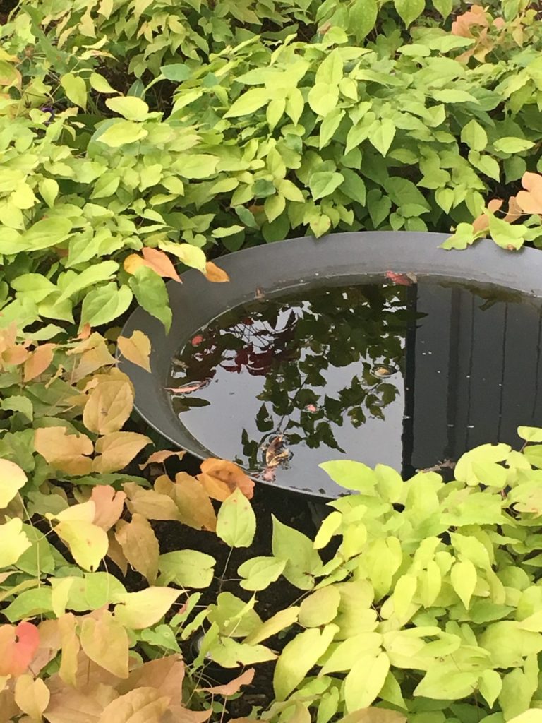 Steel powder coated water bowl by Adezz