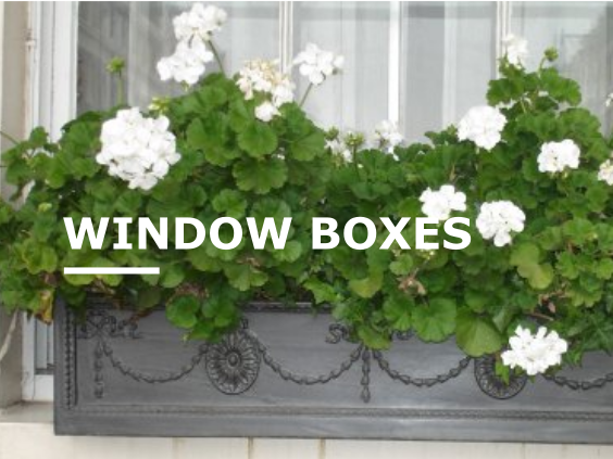 Window Boxes