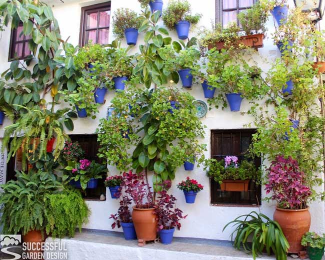 purple walls pots on white house wall