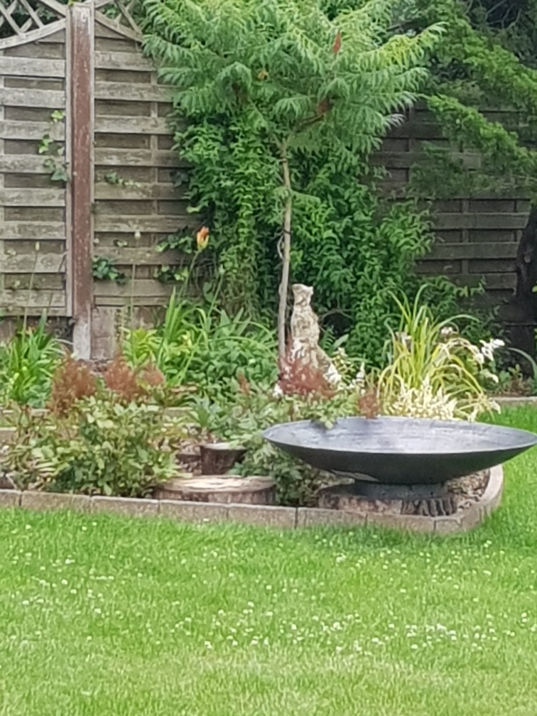 Outdoor water bowls sales